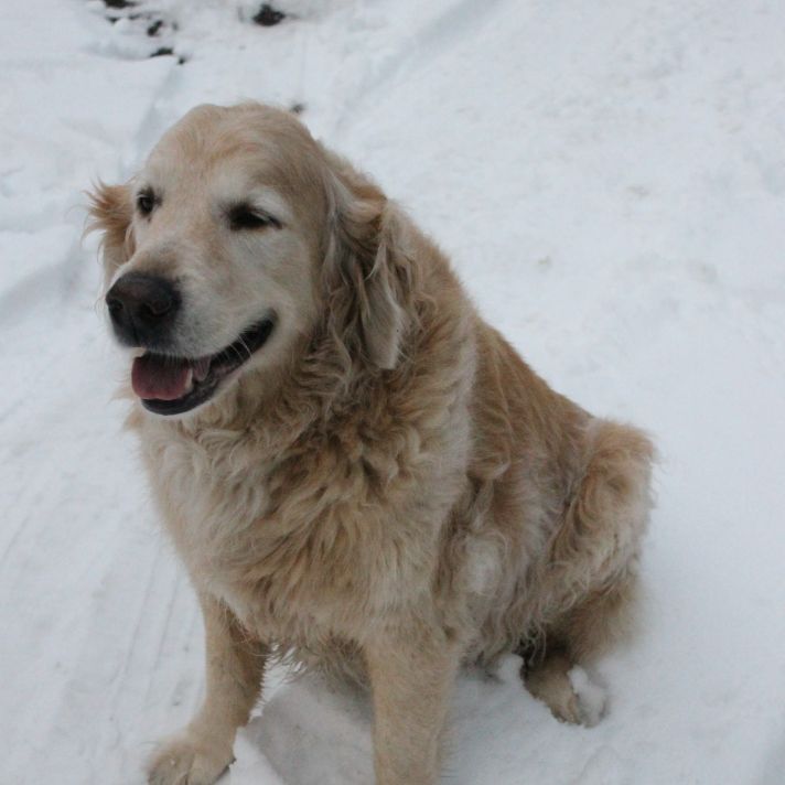 Ernie enjoying the winter weather in his later years.
