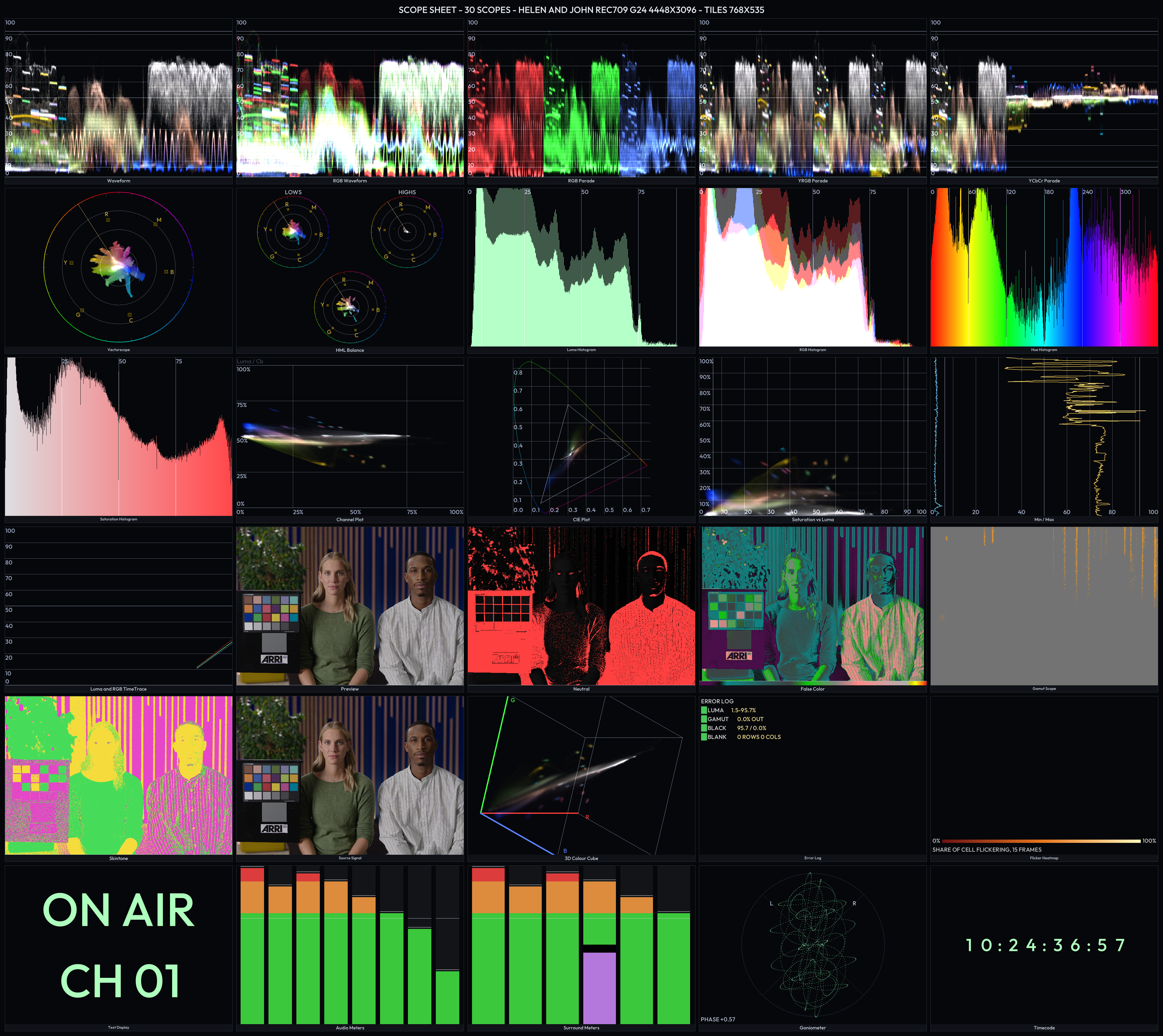 Vector video scopes showing waveforms, vectorscope and histogram widgets